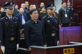 WhatsApp Image 2024-03-27 at 4.51.13 PM