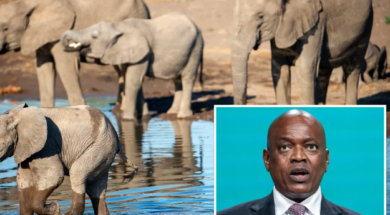 Screenshot 2024-04-04 170327