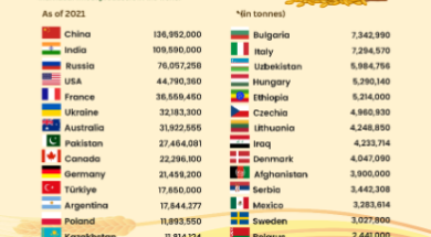 Screenshot 2024-04-06 174520