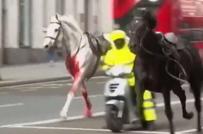 Screenshot 2024-04-25 161258