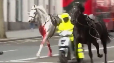 Screenshot 2024-04-25 161258