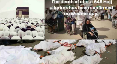 Screenshot 2024-06-20 182337