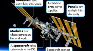 Screenshot 2024-06-27 170005